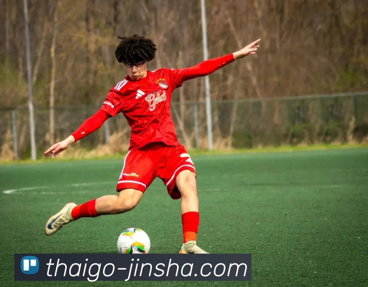 金沙娱乐服务体系